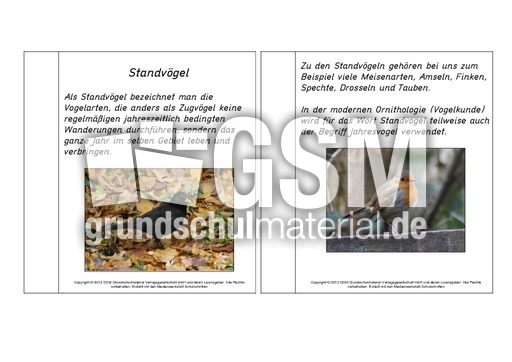 Mini-Buch-Standvögel-Lesetext.pdf